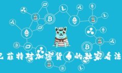 专家揭秘：巴菲特对加密货币的独家看法及投资