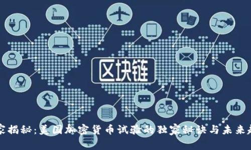 专家揭秘：美国加密货币试验的独家秘诀与未来趋势