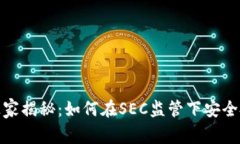 加密货币投资专家独家揭秘：如何在SEC监管下安