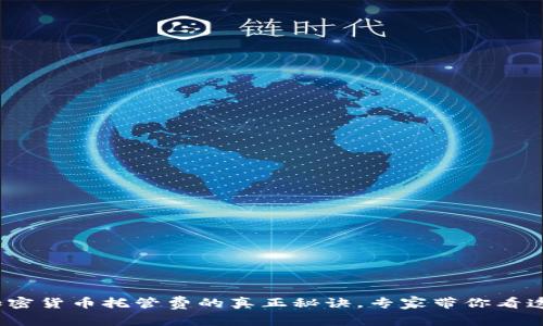 独家揭秘：加密货币托管费的真正秘诀，专家带你看透背后的成本
