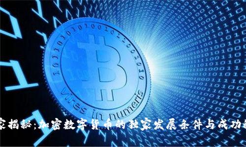 专家揭秘：加密数字货币的独家发展条件与成功秘诀