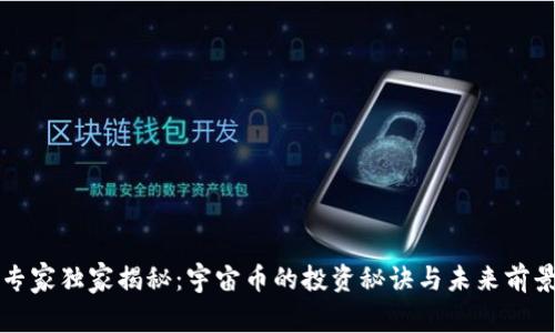 专家独家揭秘：宇宙币的投资秘诀与未来前景