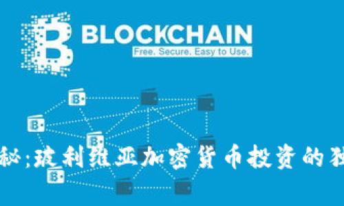 专家揭秘：玻利维亚加密货币投资的独家秘诀