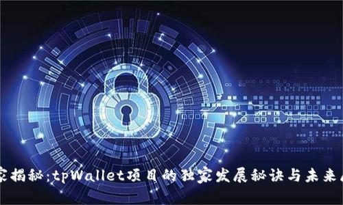 专家揭秘：tpWallet项目的独家发展秘诀与未来展望
