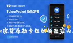 揭秘俄罗斯加密货币勒索组织的独家内幕与专家