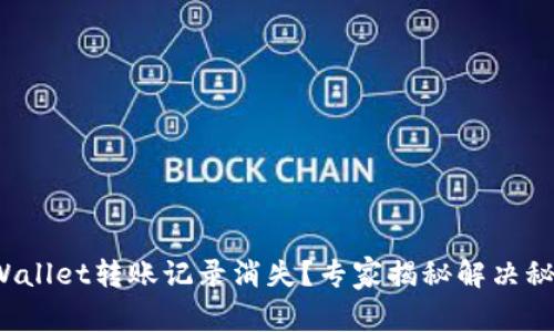 tpWallet转账记录消失？专家揭秘解决秘诀！