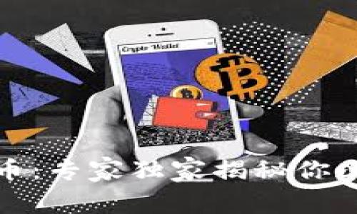 全球化加密货币：专家独家揭秘你必须知道的秘密