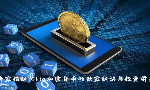 专家揭秘：Chia加密货币的独家秘诀与投资前景