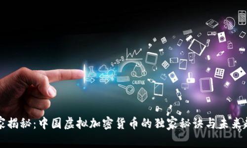 专家揭秘：中国虚拟加密货币的独家秘诀与未来趋势