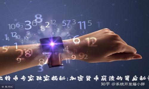 比特币专家独家揭秘：加密货币崩溃的背后秘诀