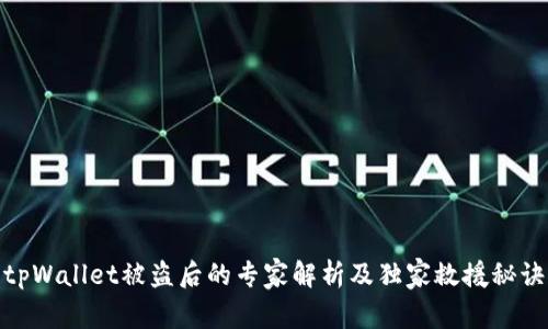 tpWallet被盗后的专家解析及独家救援秘诀