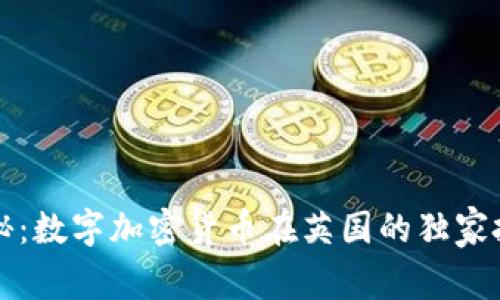 专家揭秘：数字加密货币在英国的独家投资秘诀