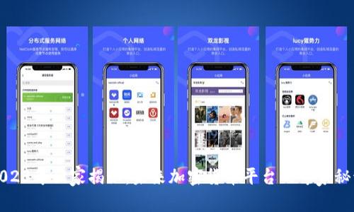 2023年独家揭秘：未来加密货币平台的专家秘诀