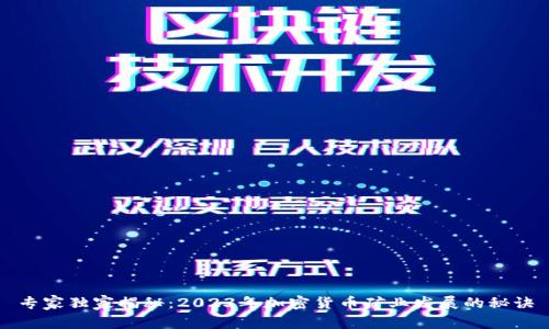 专家独家揭秘：2023年加密货币矿业发展的秘诀