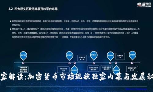 专家解读：加密货币市场现状独家内幕与发展秘诀
