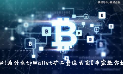 独家揭秘！为什么tpWallet矿工费这么高？专家教你如何应对