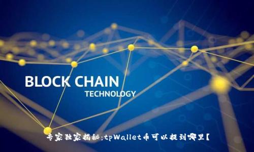 专家独家揭秘：tpWallet币可以提到哪里？