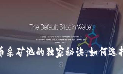 专家揭秘：加密货币采矿池的独家秘诀，如何选择最适合你的矿池？