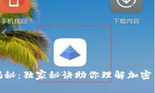 加密货币专家揭秘：独家秘诀助你理解加密货币背后的奥秘