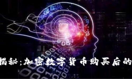 专家独家揭秘：加密数字货币购买后的冻结秘诀！