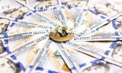   专家揭秘：tpWallet真相与假钱包的独家对比秘诀