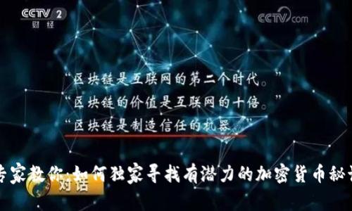 专家教你：如何独家寻找有潜力的加密货币秘诀