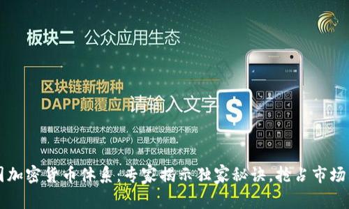 美国加密货币体系：专家揭示独家秘诀，抢占市场先机