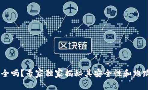 tpWallet安全吗？专家独家揭秘其安全性和跑路风险的秘诀