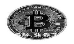 日本支持的加密货币：专家揭秘，让你了解最新