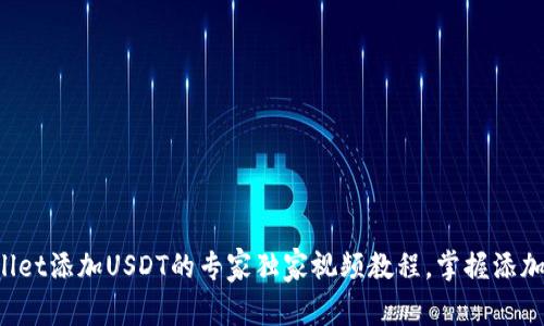 tpWallet添加USDT的专家独家视频教程，掌握添加秘诀！