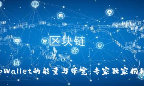 揭秘tpWallet的能量与带宽：专家独家揭秘秘诀！