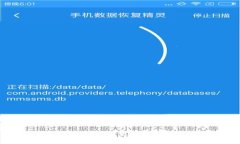 专家独家揭秘：如何安全放置BTT币于TP Wallet的秘