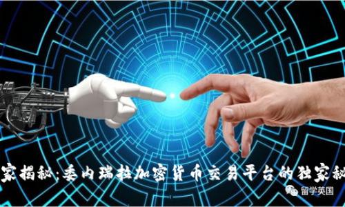 专家揭秘：委内瑞拉加密货币交易平台的独家秘诀
