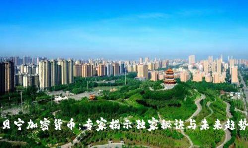 贝宁加密货币：专家揭示独家秘诀与未来趋势