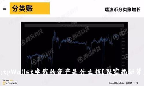 专家解读：tpWallet中我的资产是什么钱？独家揭秘背后的秘诀！