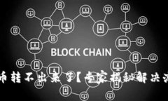 tpWallet里面币转不出来了？专家揭秘解决办法和独