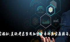 专家独家揭秘：美欧考虑禁用加密货币的真实原