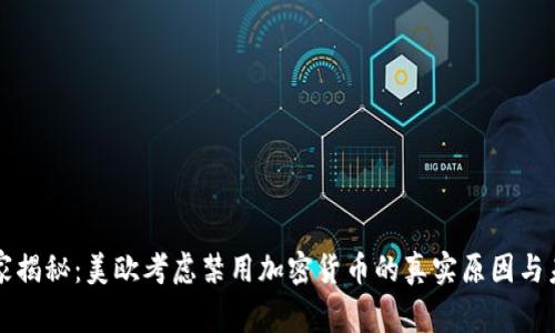 专家独家揭秘：美欧考虑禁用加密货币的真实原因与未来趋势