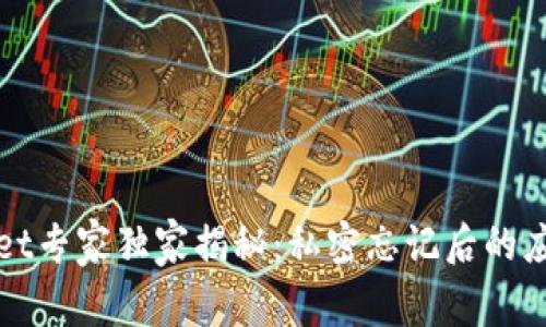 tpWallet专家独家揭秘：私密忘记后的应对秘诀