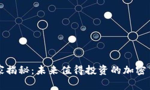 专家独家揭秘：未来值得投资的加密货币秘诀