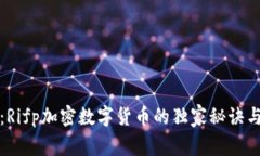 专家揭秘：Rifp加密数字货币的独家秘诀与未来趋