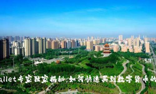 tpWallet专家独家揭秘：如何快速买到数字货币的秘诀