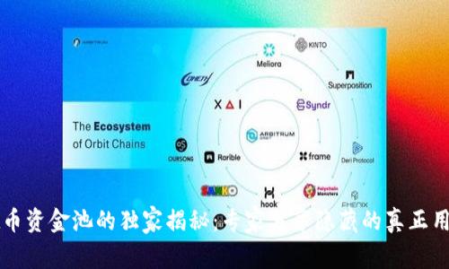 tpWallet币资金池的独家揭秘：专家分享隐藏的真正用途与秘诀