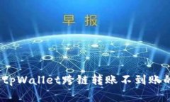 专家解析：tpWallet跨链转账不到账的独家秘诀