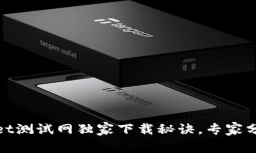 tpWallet测试网独家下载秘诀，专家分享攻略