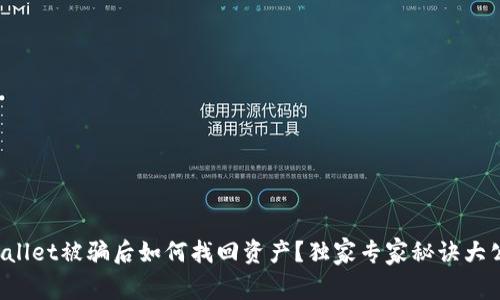 tpWallet被骗后如何找回资产？独家专家秘诀大公开！