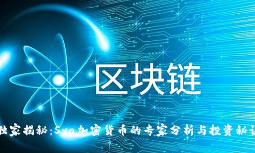 独家揭秘：Sya加密货币的专家分析与投资秘诀