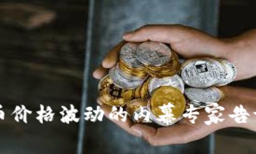独家揭秘比特币价格波动的内幕专家告诉你必知的要点