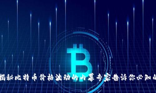 独家揭秘比特币价格波动的内幕专家告诉你必知的要点