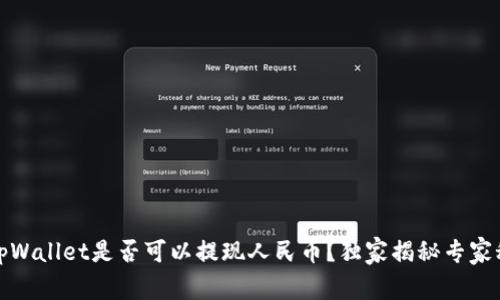 **tpWallet是否可以提现人民币？独家揭秘专家秘笈